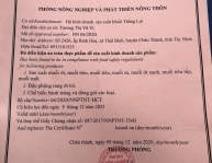 Chứng Nhận An Toàn Thực Phẩm